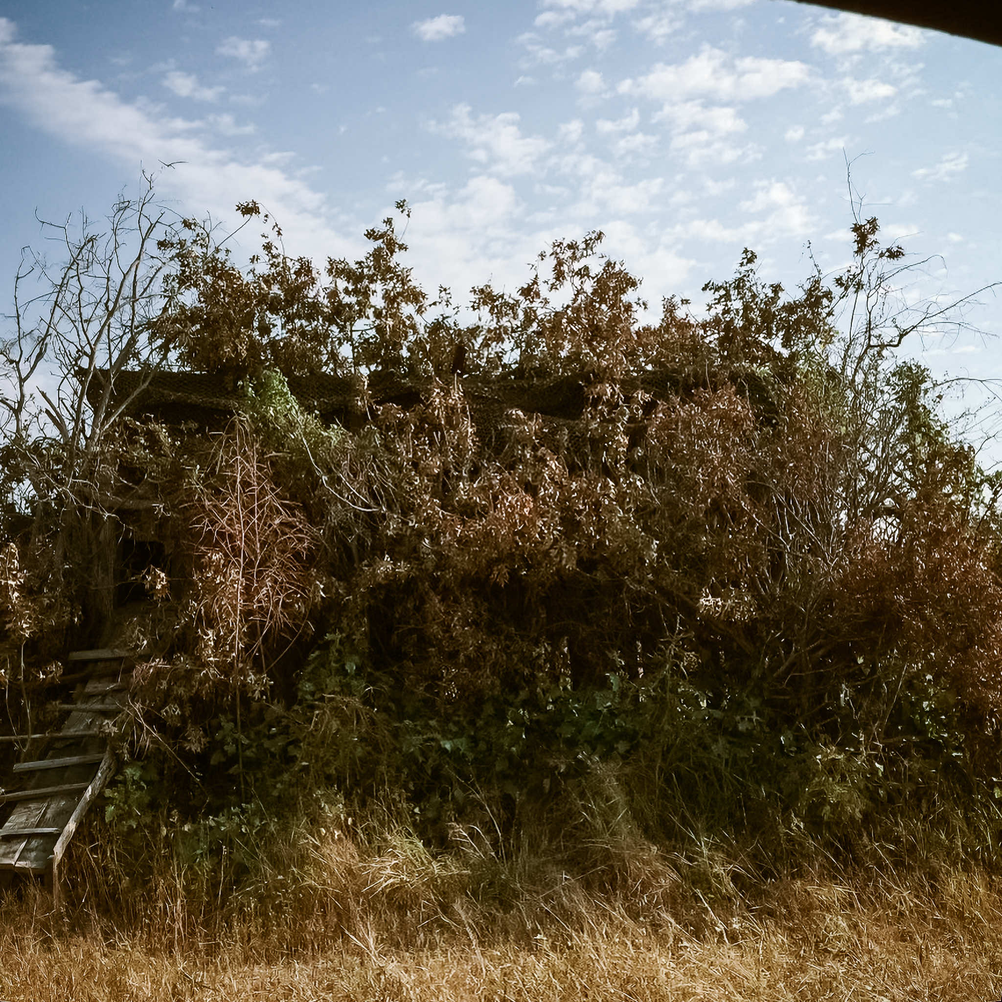 Well hidden blind at Two Rivers Duck Club in Brasfield, Arkansas