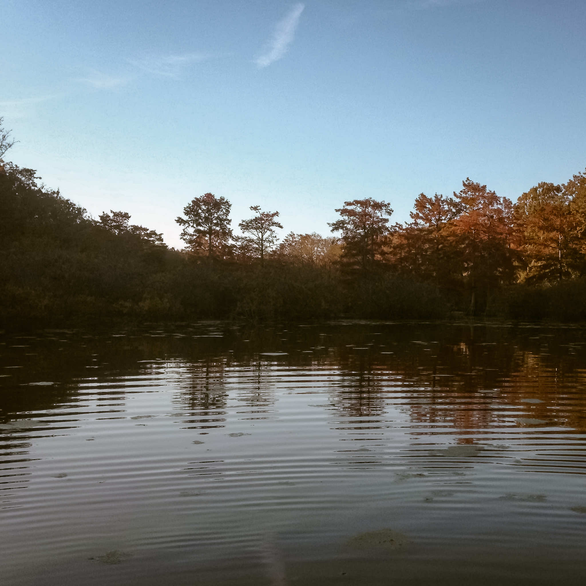 Old River chutes, sloughs & oxbows at Two Rivers Duck Club