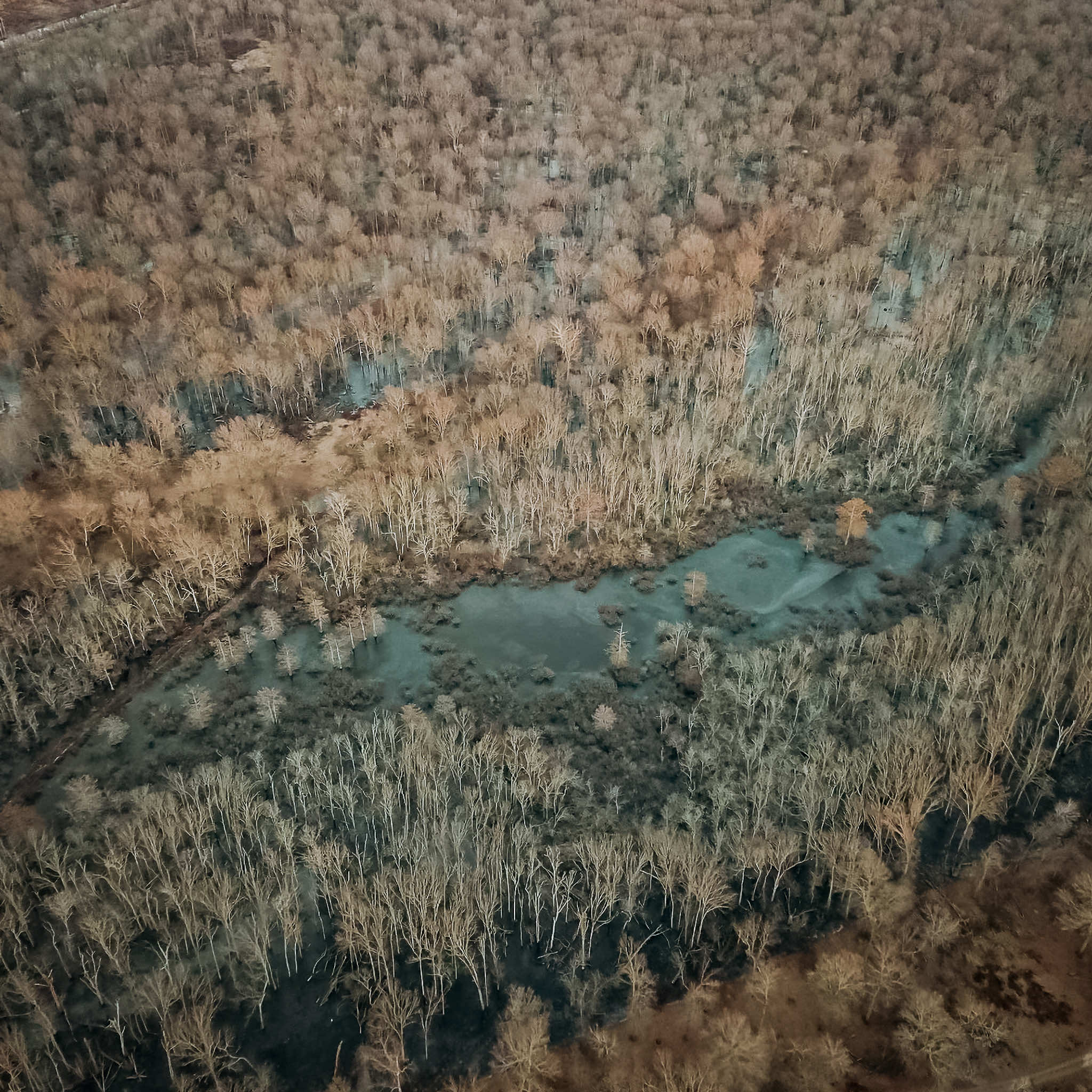 Aerial view of bottomland hardwoods and wetlands at Two Rivers Duck Club in Brasfield, Arkansas.