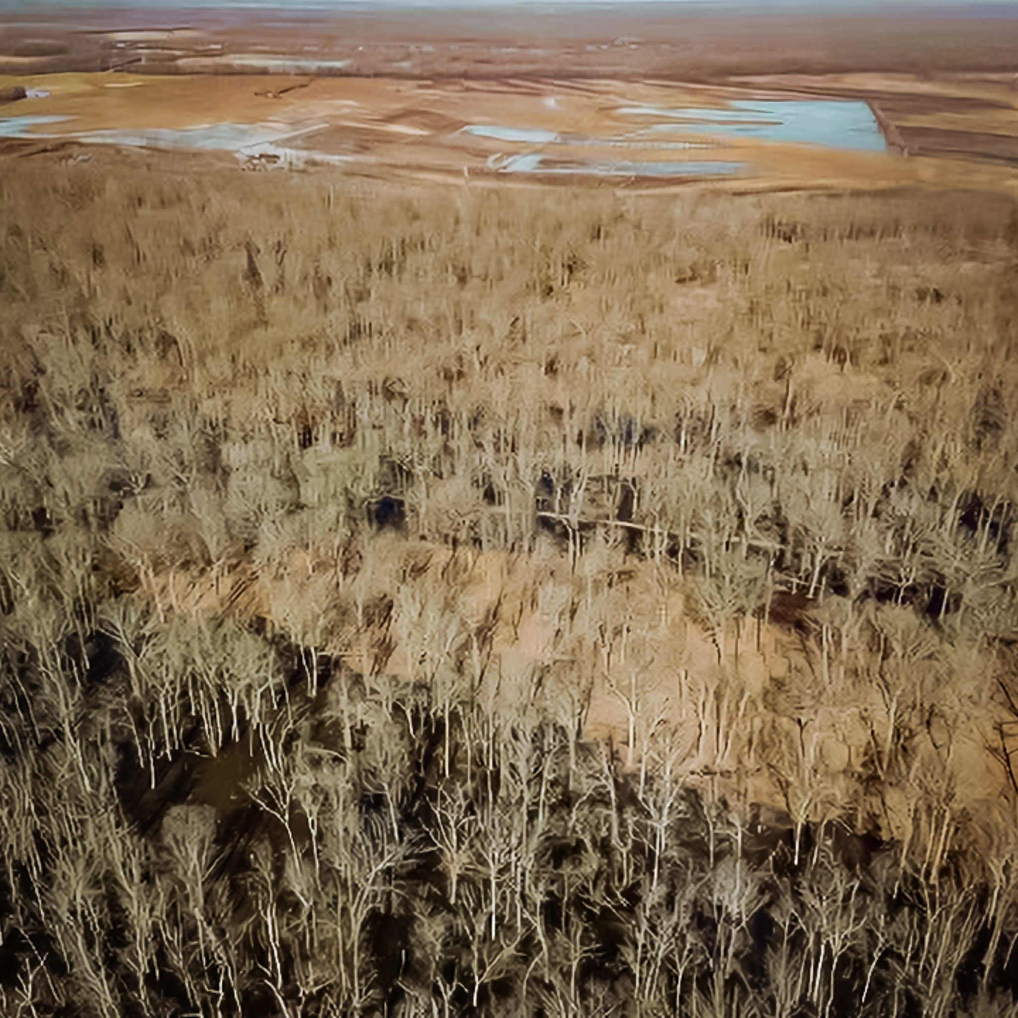 Aerial view of legendary green timber hunting at Two Rivers Duck Club in Arkansas