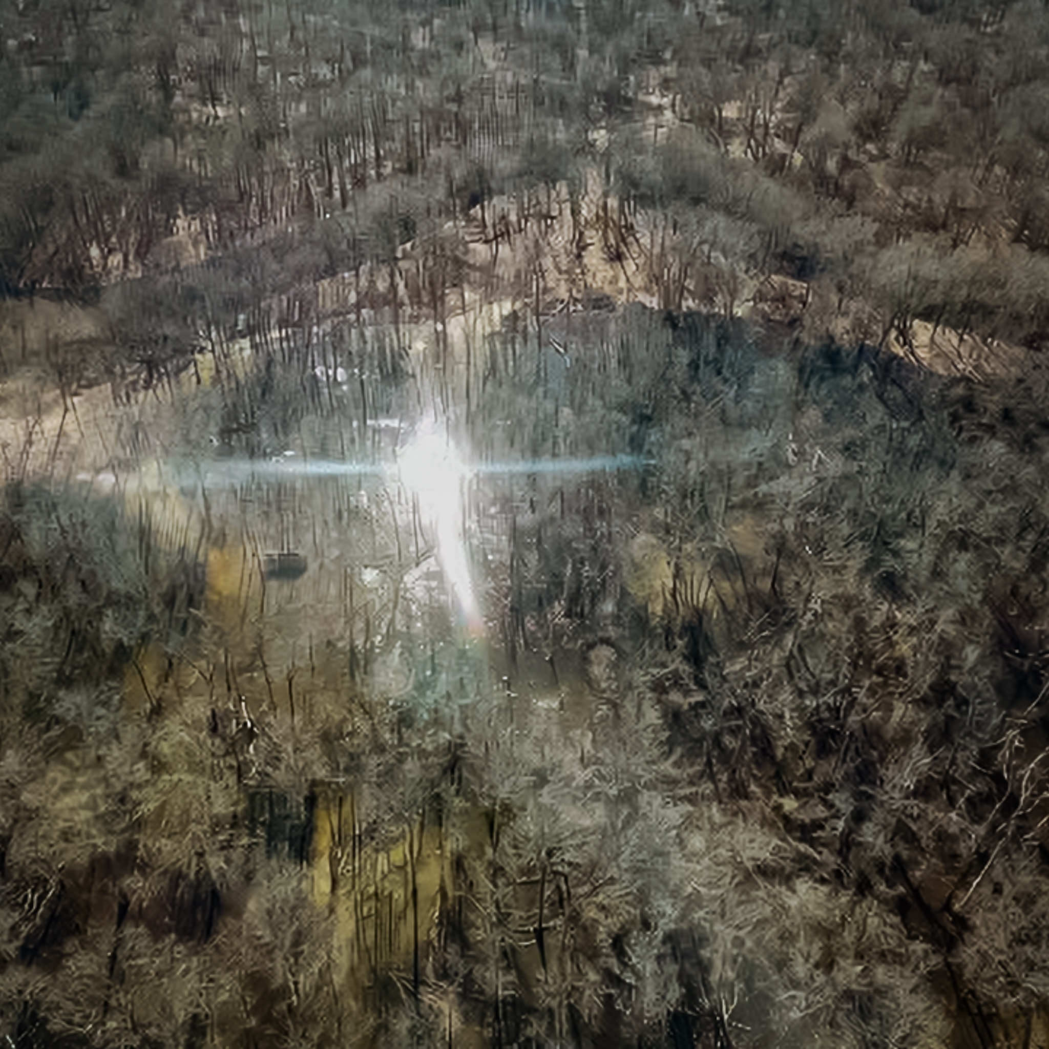 Aerial View of bottomland hardwoods and wetlands at Two Rivers Duck Club