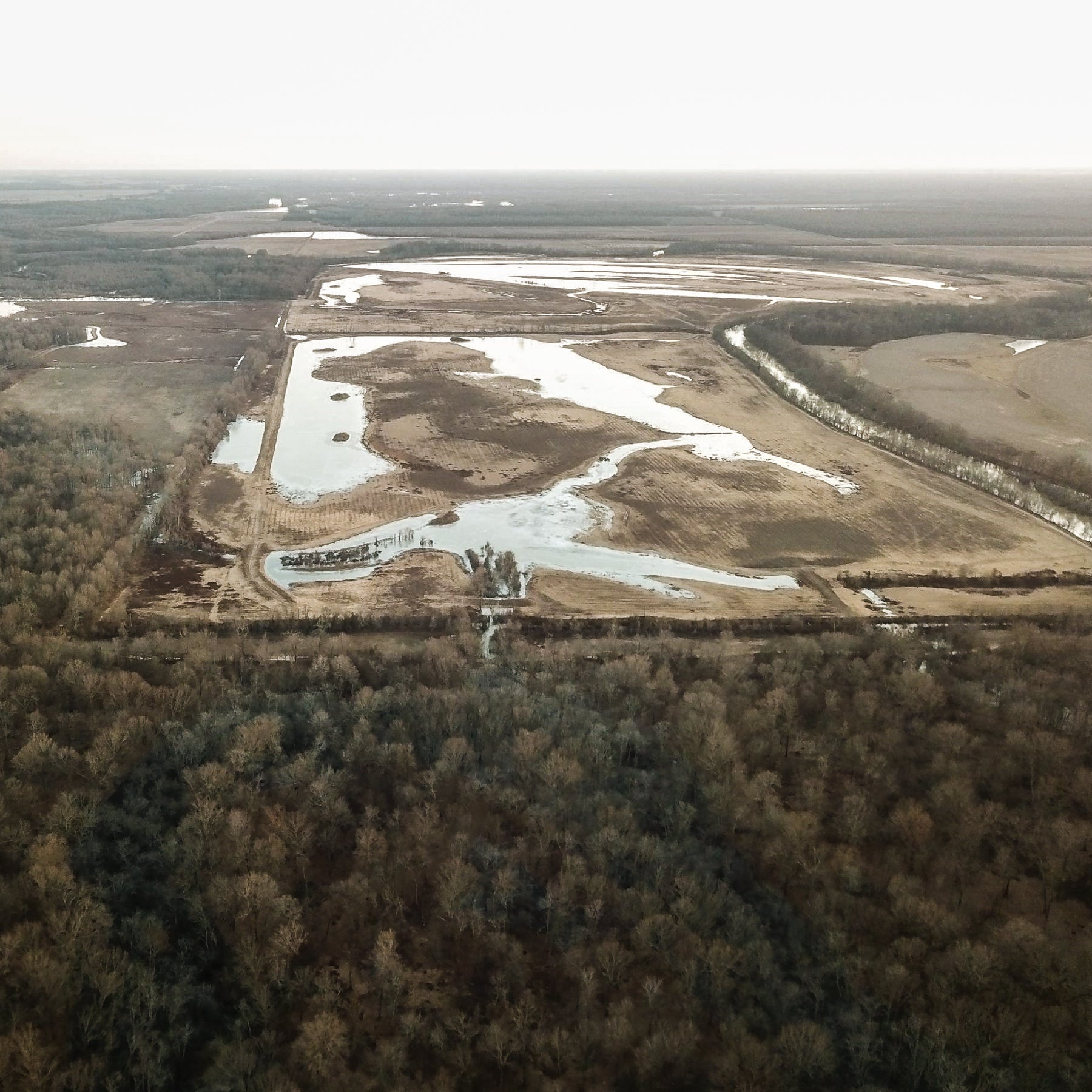 Aerial view of moist soil impoundments & bottomland hardwoods atTwo Rivers Duck Club