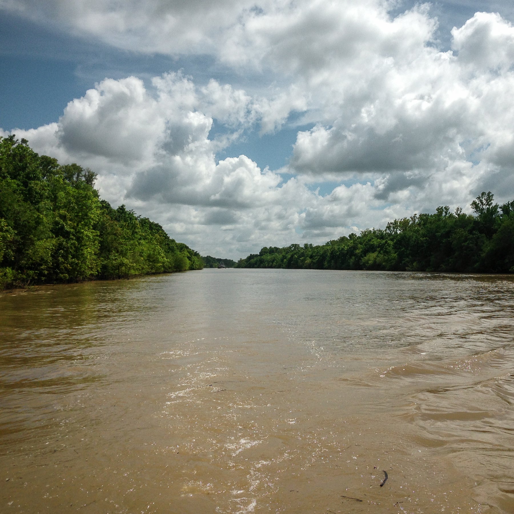 Access to legendary Arkansas flooded green timber duck hunting the White and Cache River at Two Rivers Duck Club