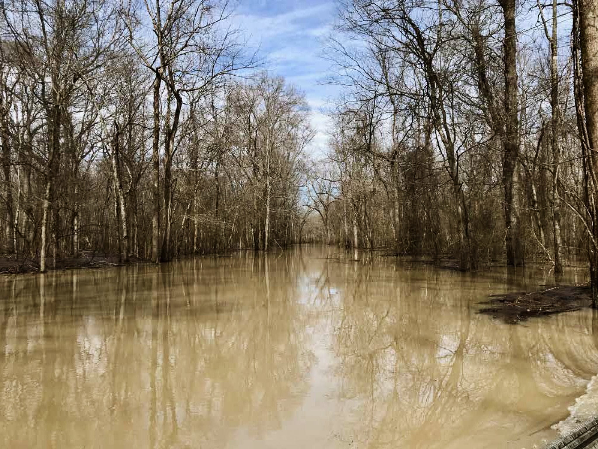 Boat ditch in the legendary Arkansas flooded green timber at Two Rivers Duck Club.