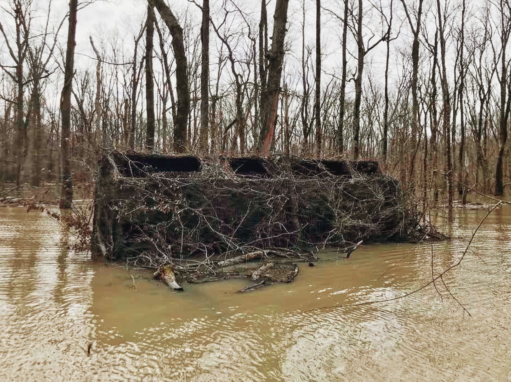Flooded timber duck blind at Two Rivers Duck Club. Blinds like this, Situated along the Cache River bottoms, make for some of the best green timber mallard hunting in the world.