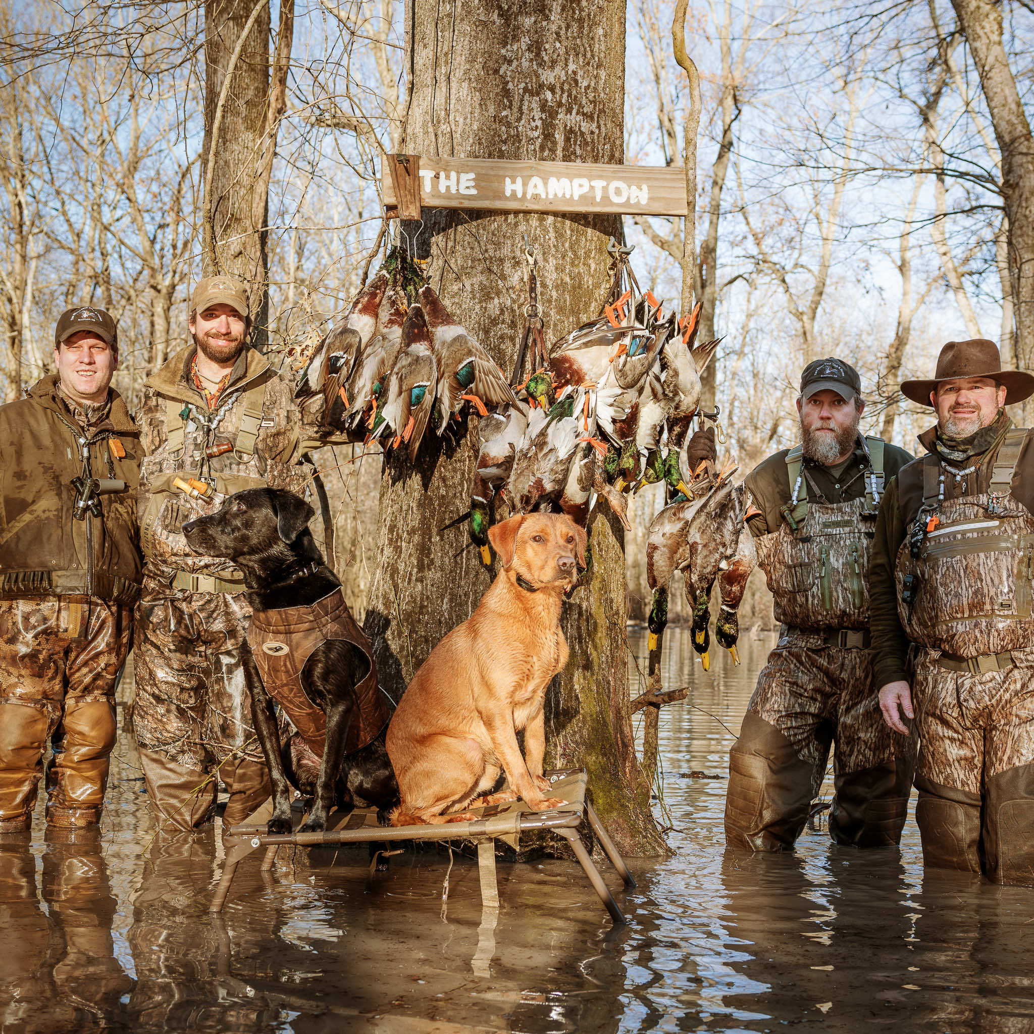 A succesful day of flooded green timber hunting at Two Rivers Duck Club in January of 2022